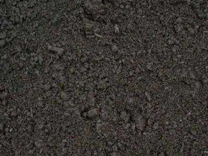 Top Soil